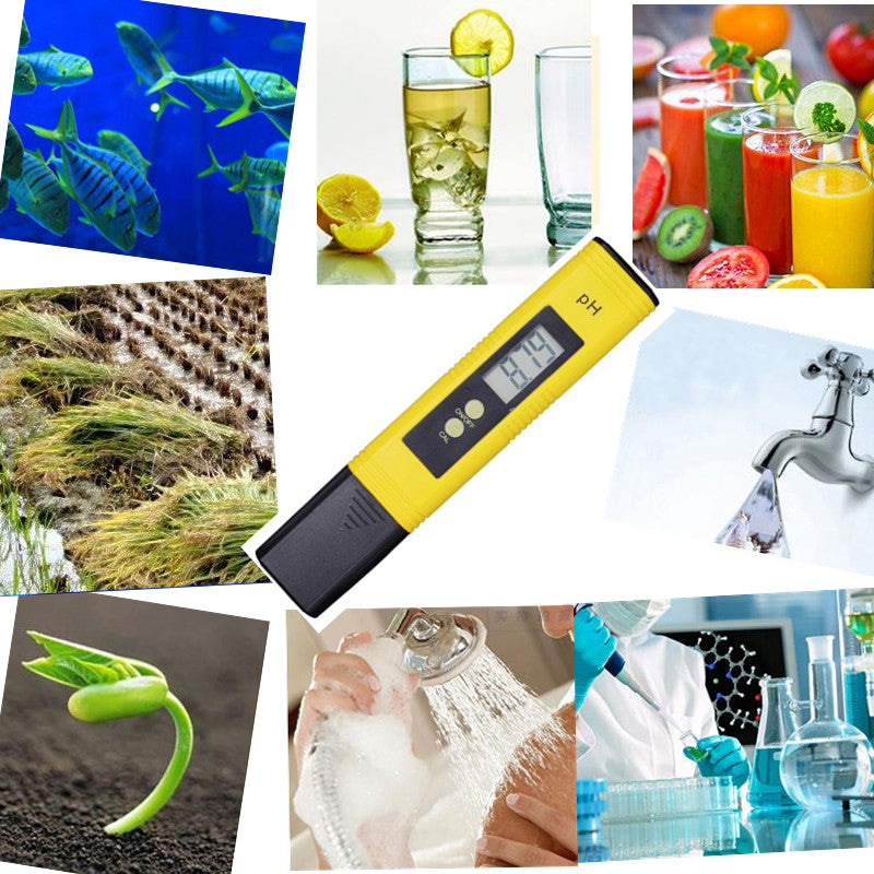 Precision Portable pH Meter